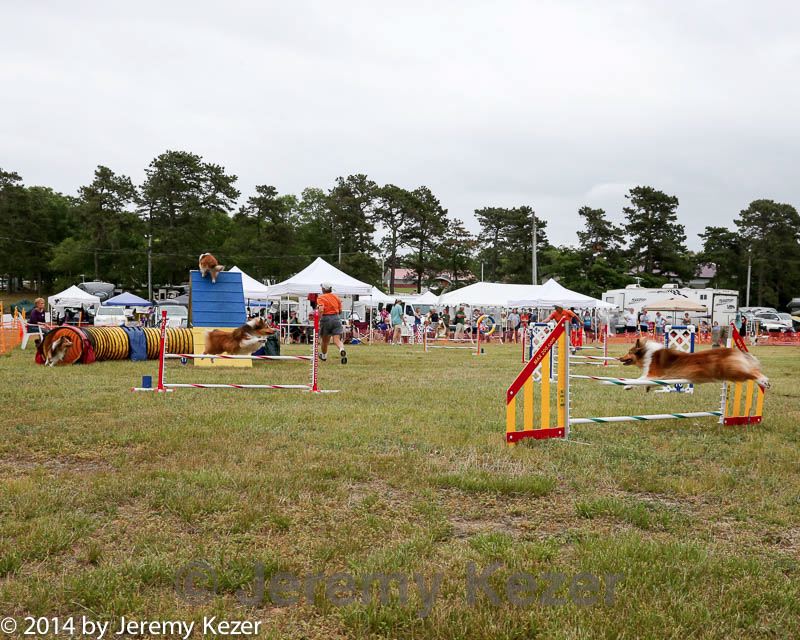 20140614-comp-0156.jpg
