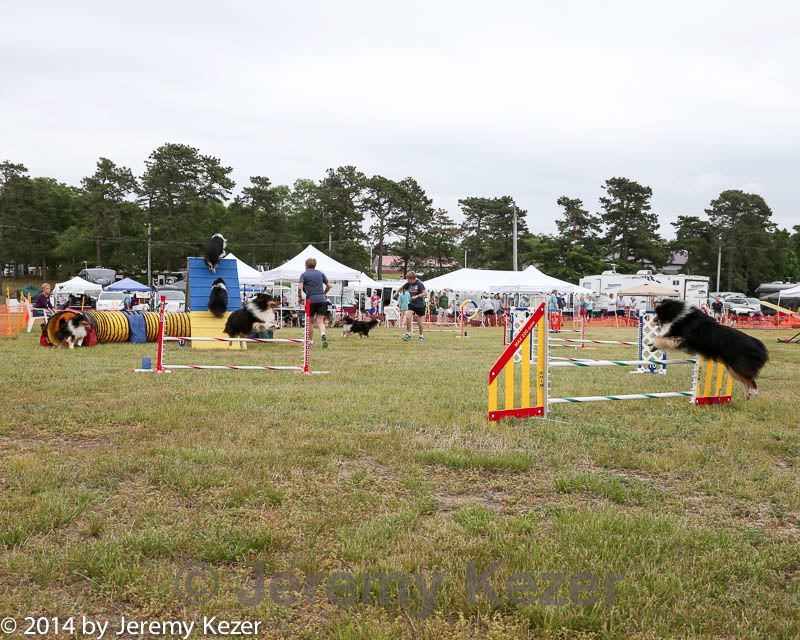 20140614-comp-0159.jpg