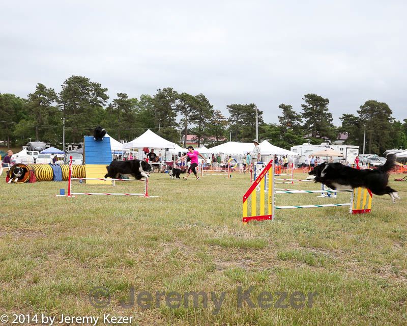 20140614-comp-0163.jpg