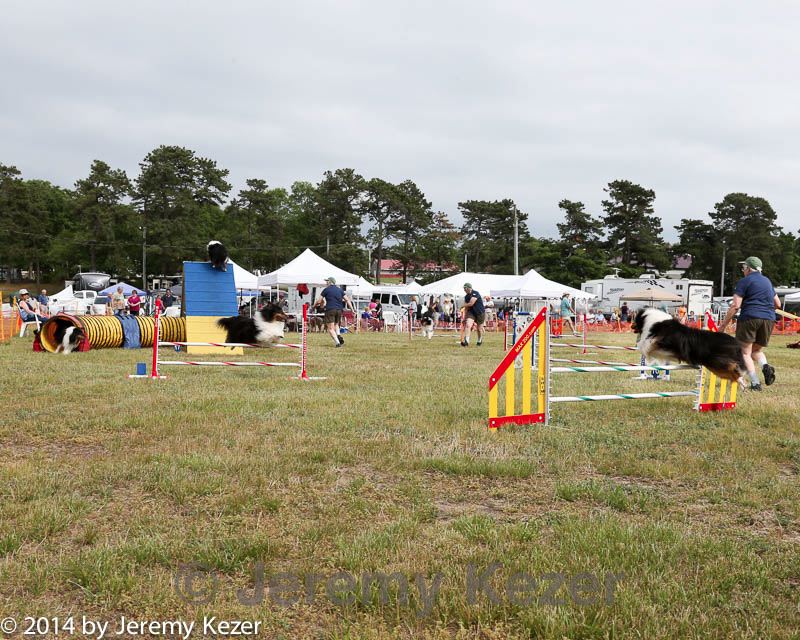 20140614-comp-0167.jpg
