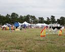 20140614-comp-0178