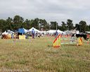 20140614-comp-0181