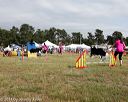 20140614-comp-0182
