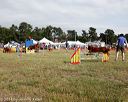 20140614-comp-0183