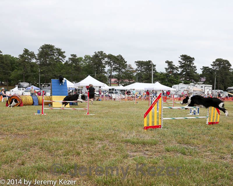 20140614-comp-0172.jpg