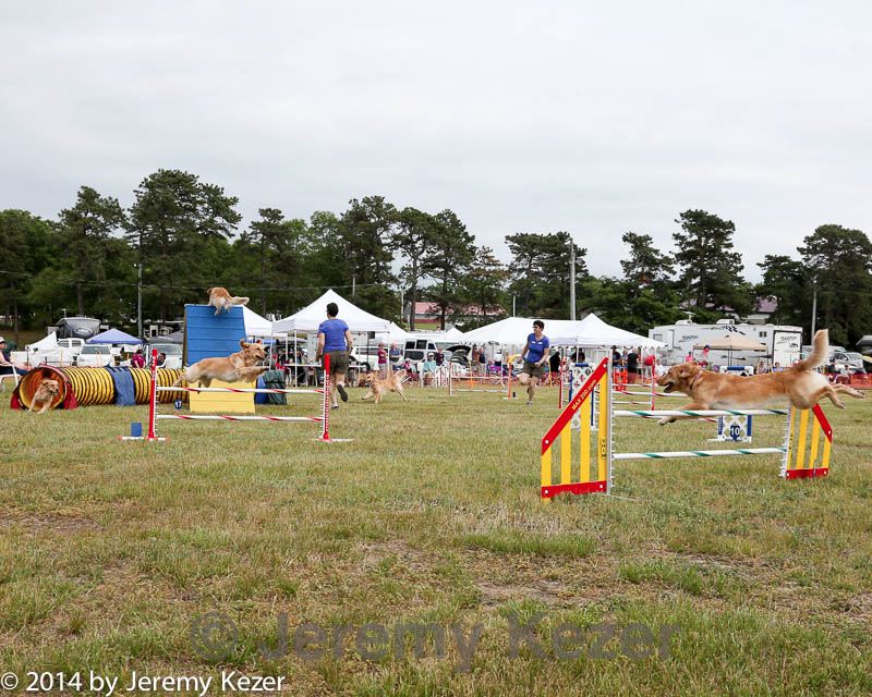20140614-comp-0173.jpg