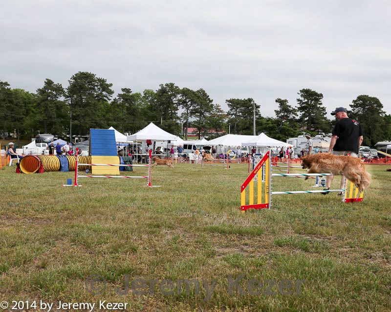 20140614-comp-0177.jpg