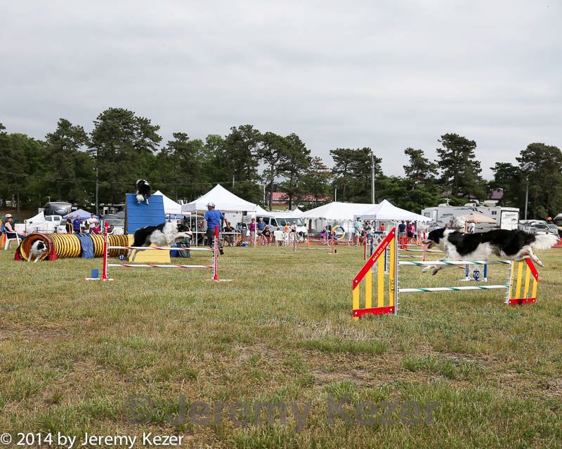 20140614-comp-0178.jpg