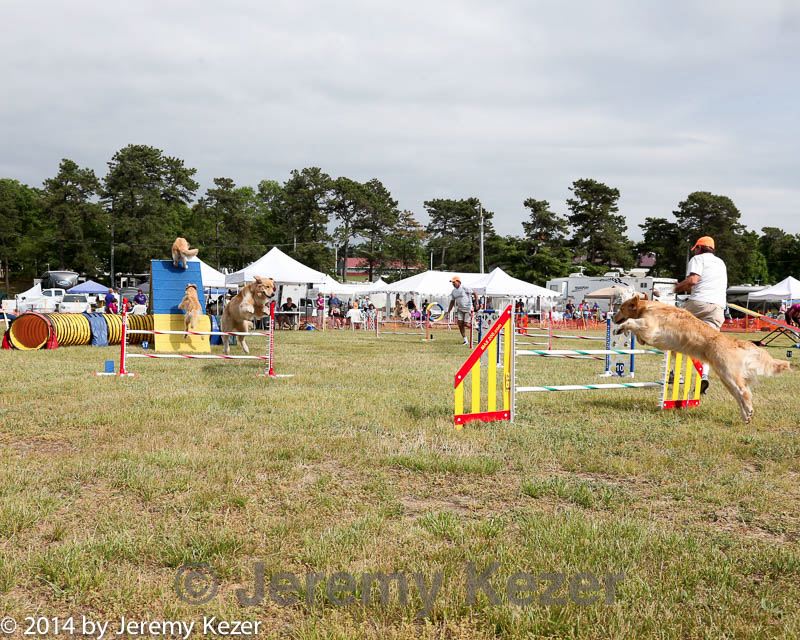 20140614-comp-0179.jpg
