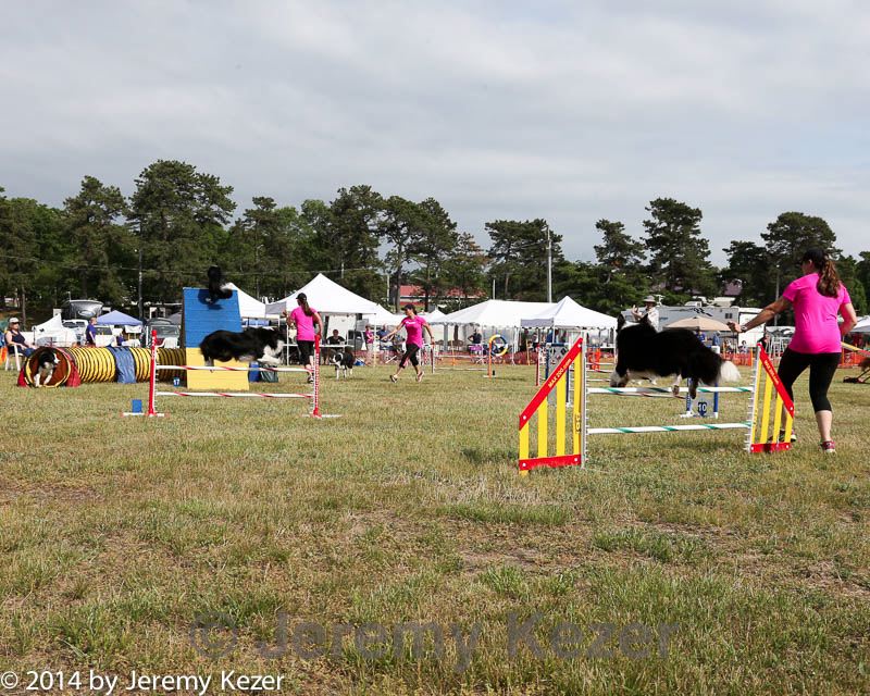 20140614-comp-0182.jpg