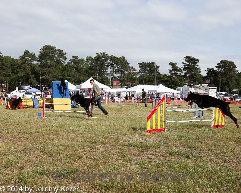 20140614-comp-0185.jpg