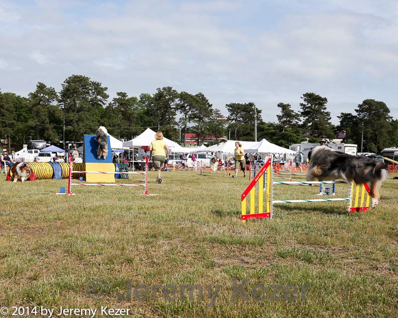 20140614-comp-0191.jpg
