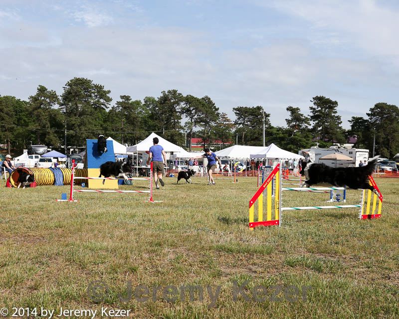 20140614-comp-0192.jpg