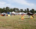 20140614-comp-0199