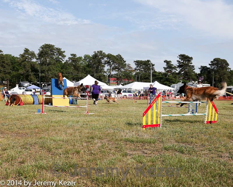 20140614-comp-0193.jpg