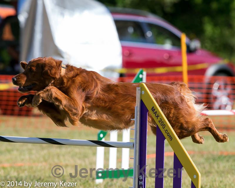 20140615-0047.jpg