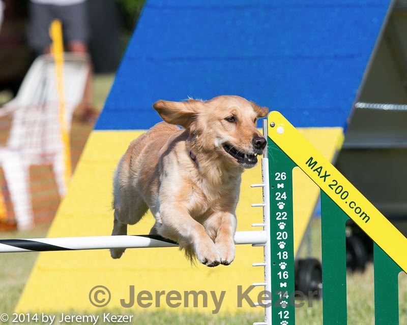 20140615-0098.jpg