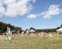 20140615-comp-0161