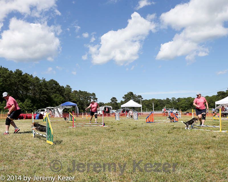 20140615-comp-0157.jpg