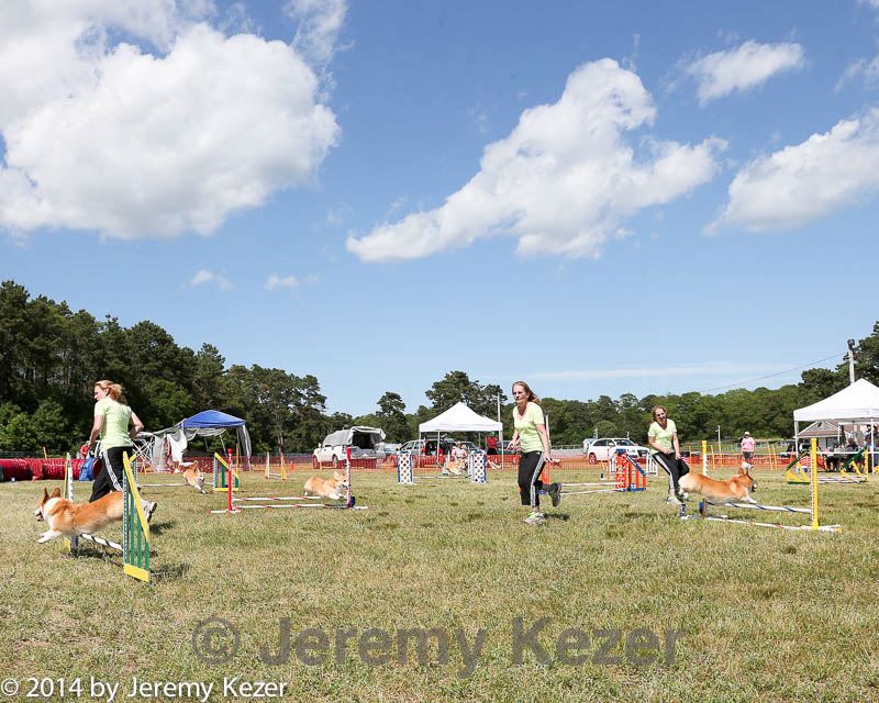 20140615-comp-0159.jpg