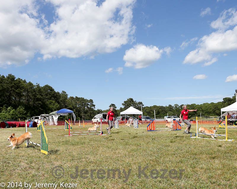 20140615-comp-0162.jpg