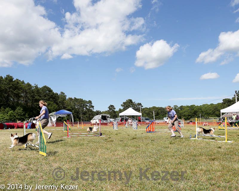 20140615-comp-0163.jpg