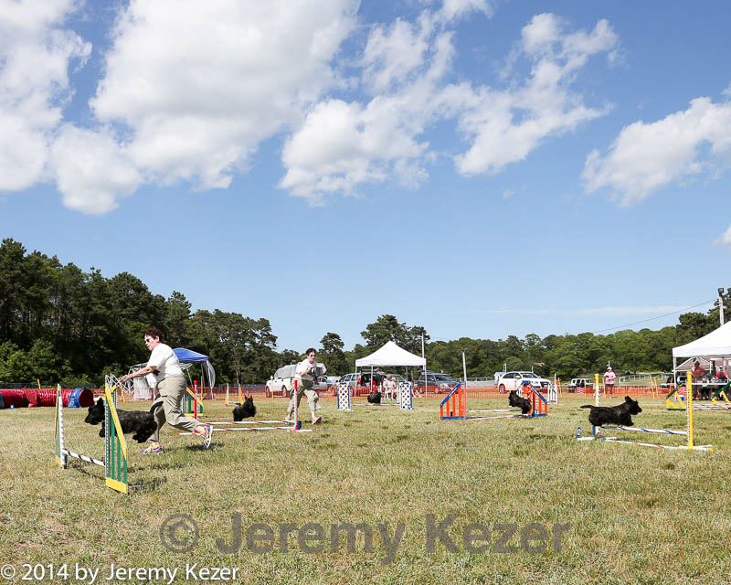 20140615-comp-0166.jpg