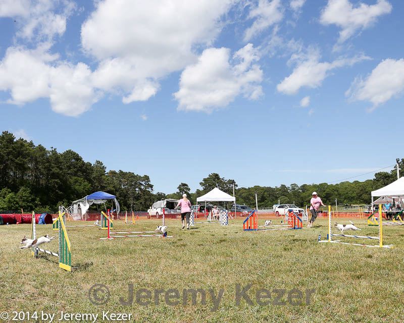 20140615-comp-0167.jpg