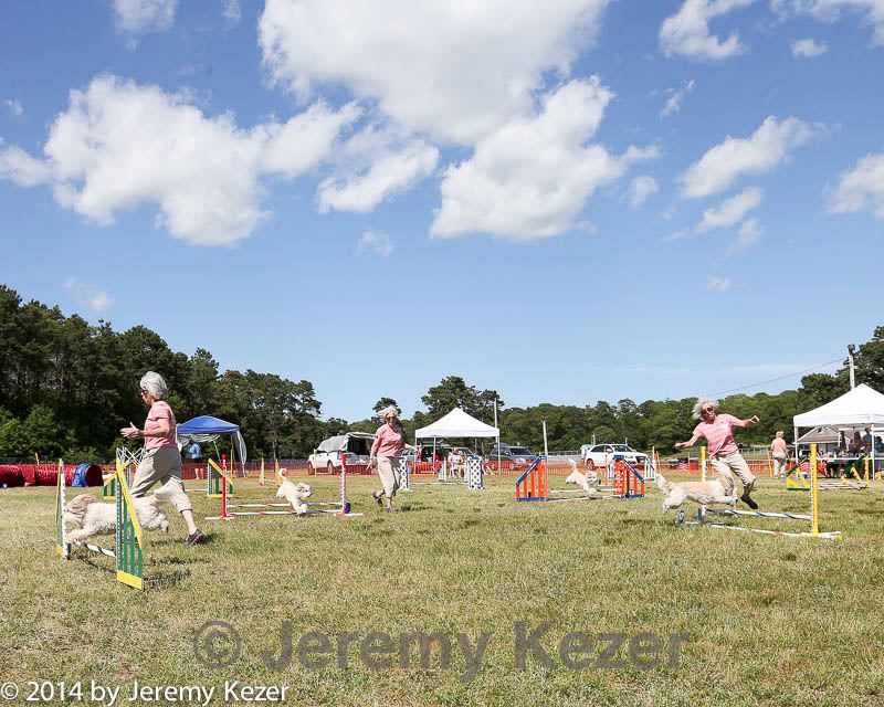 20140615-comp-0168.jpg