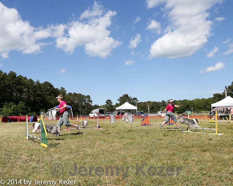 20140615-comp-0170.jpg