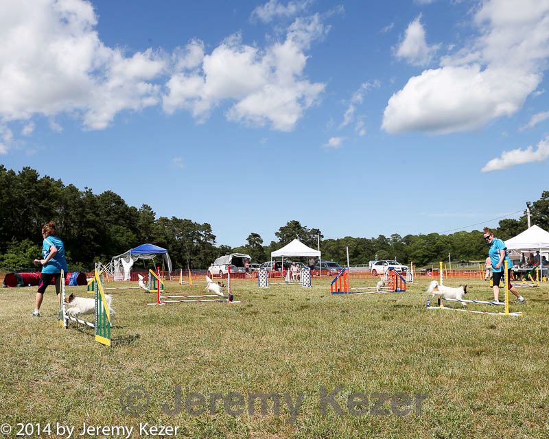 20140615-comp-0171.jpg