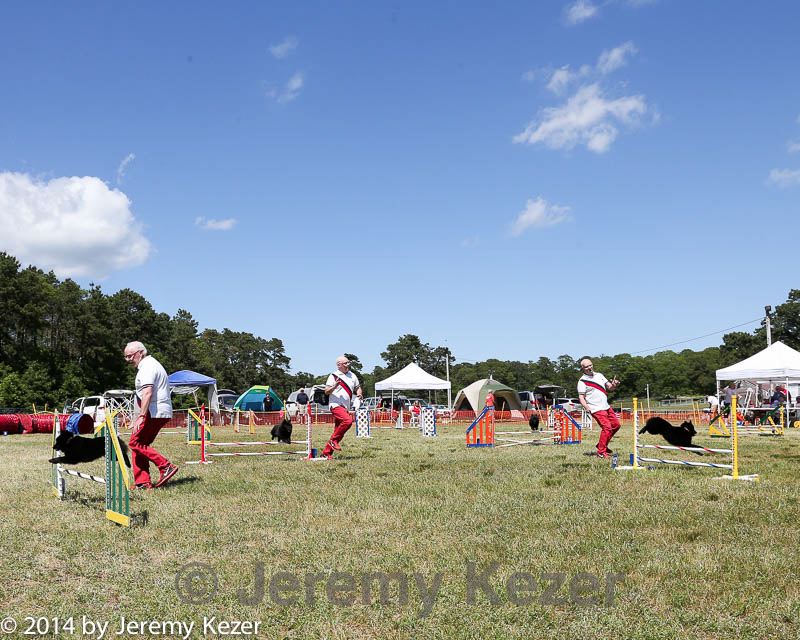 20140615-comp-0141.jpg