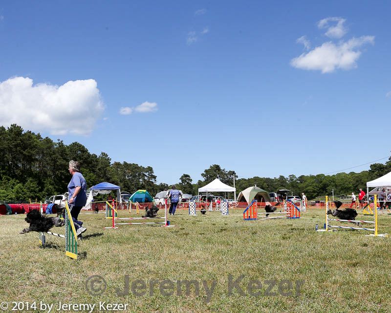 20140615-comp-0142.jpg