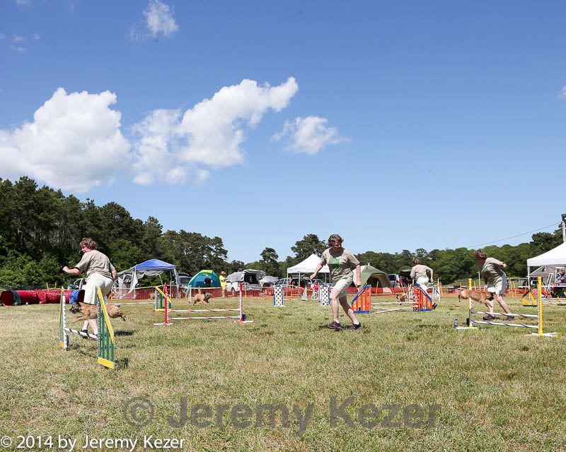 20140615-comp-0146.jpg