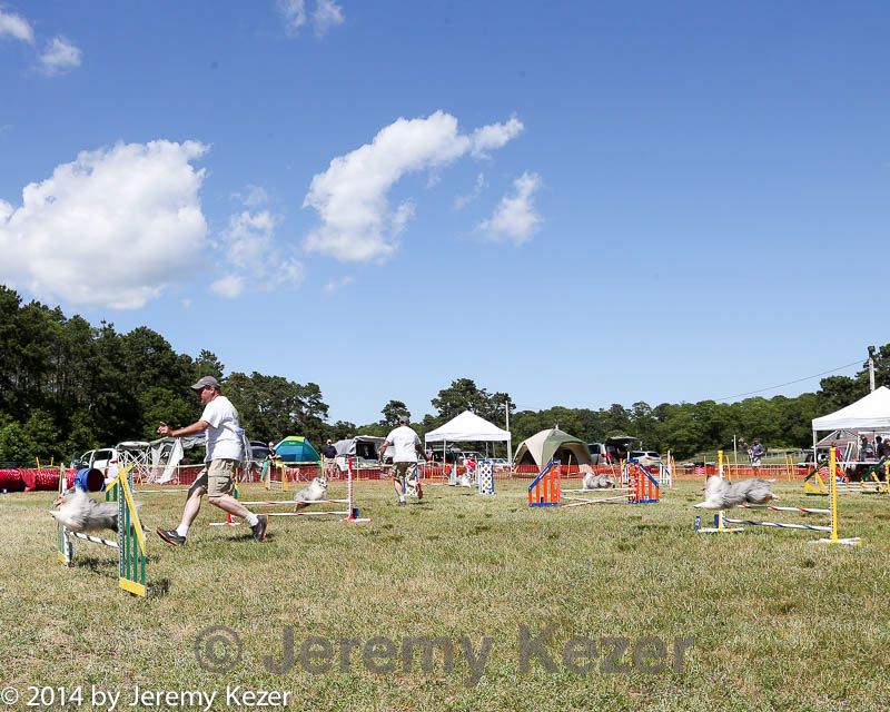 20140615-comp-0147.jpg
