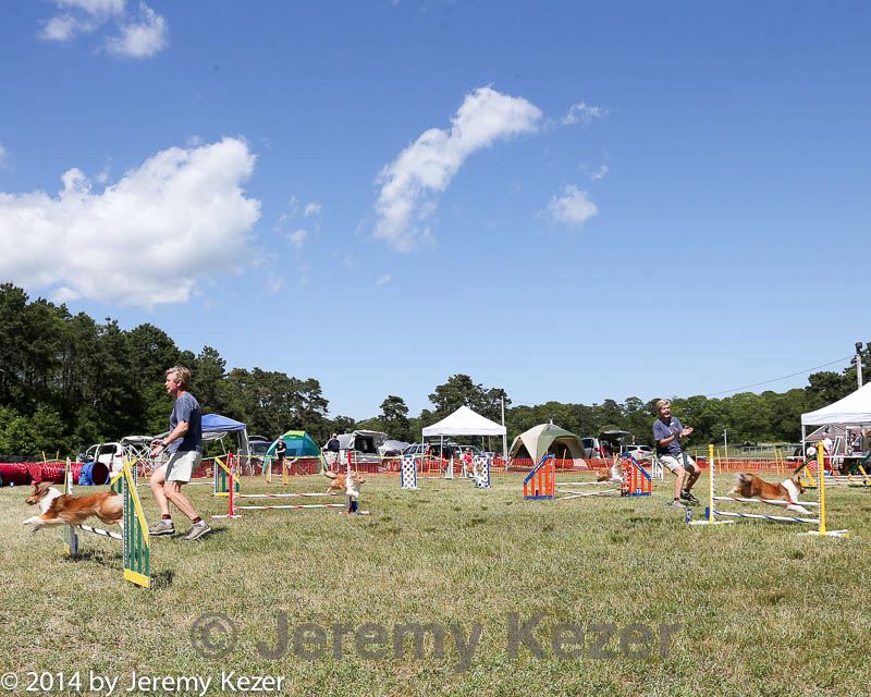 20140615-comp-0148.jpg