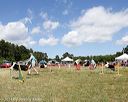 20140615-comp-0118