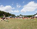 20140615-comp-0119