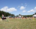 20140615-comp-0131