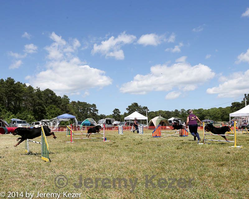 20140615-comp-0107.jpg