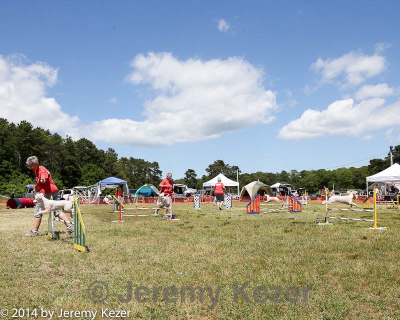 20140615-comp-0112.jpg