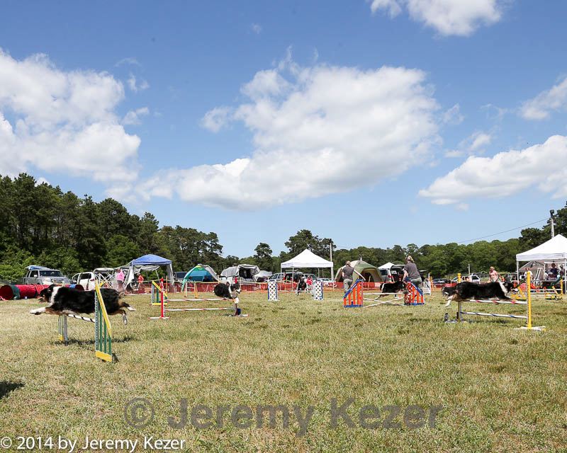 20140615-comp-0114.jpg
