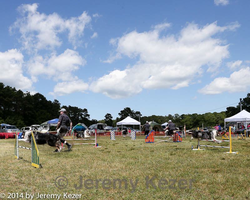 20140615-comp-0116.jpg