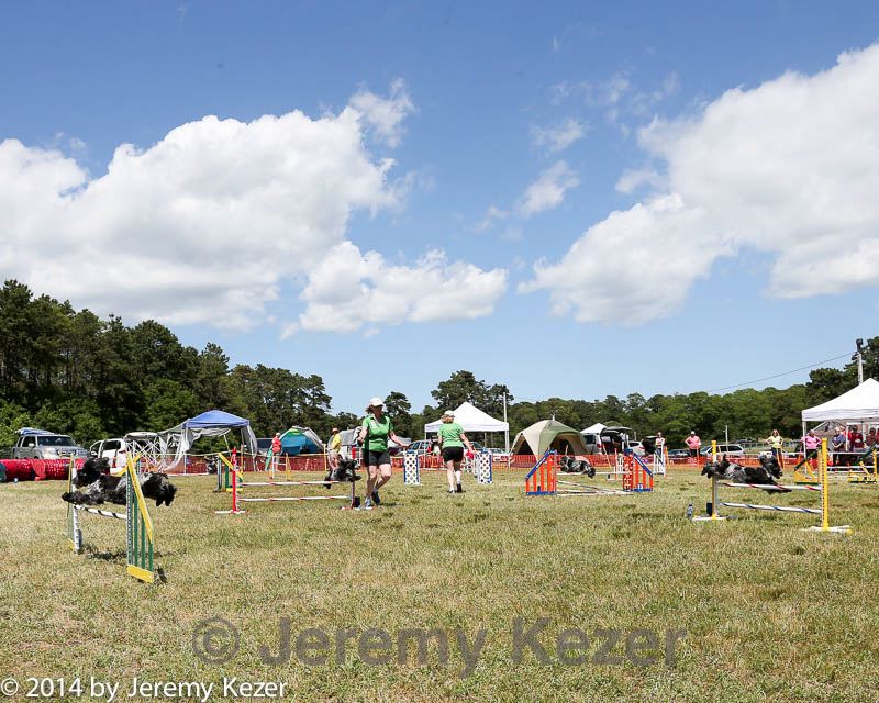 20140615-comp-0120.jpg
