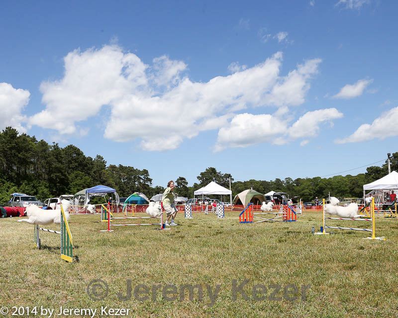 20140615-comp-0124.jpg