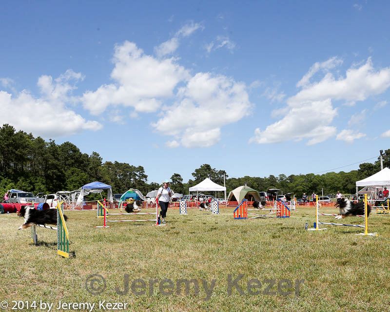20140615-comp-0127.jpg