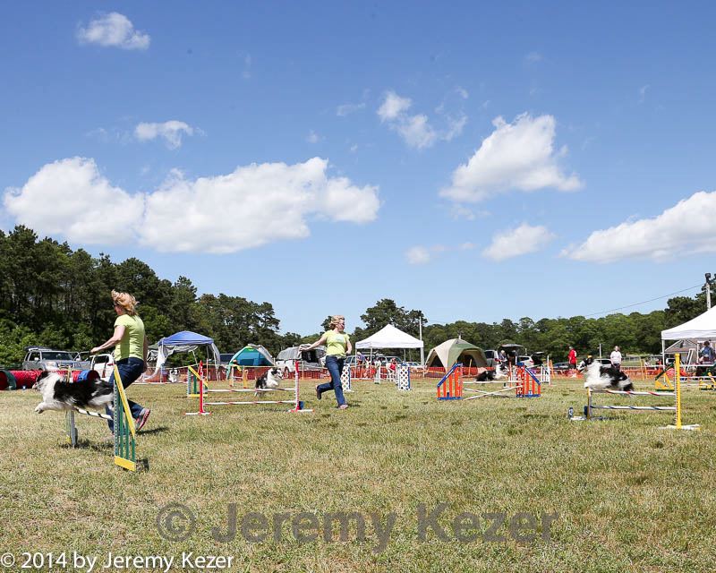 20140615-comp-0132.jpg