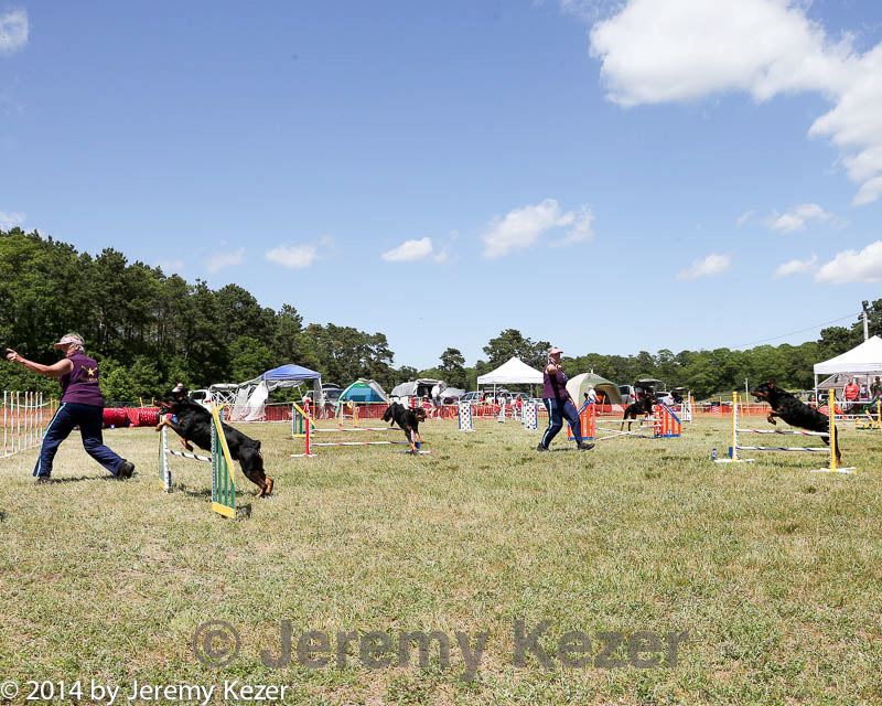 20140615-comp-0136.jpg