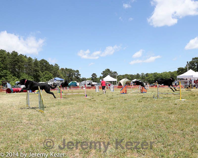 20140615-comp-0071.jpg