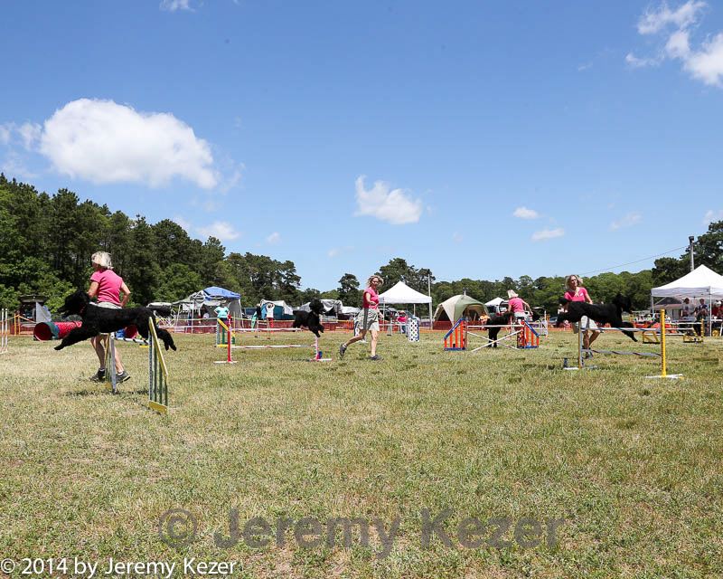 20140615-comp-0073.jpg